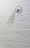 Shower Head, Chrome Finish